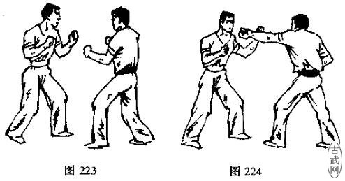 ͼ223ͼ224