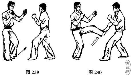 ͼ239ͼ240