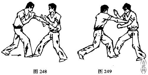 ͼ248ͼ249