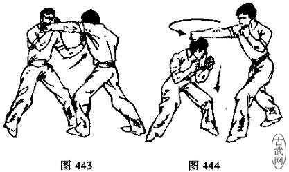 ͼ443ͼ444
