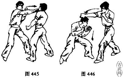 ͼ445ͼ446