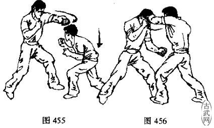 ͼ455ͼ456