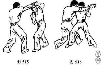ͼ515ͼ516