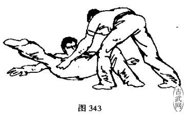 ͼ343