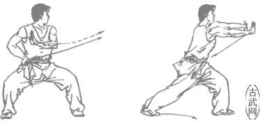 ˫