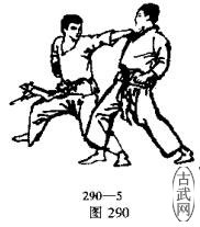 ͼ290-5