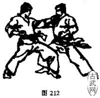 ͼ212