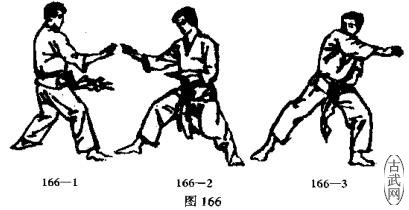 ͼ166-1ͼ166-2ͼ166-3