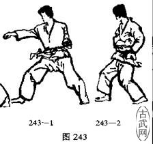 ͼ243-1ͼ243-2