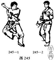 ͼ245-1ͼ245-2