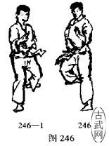 ͼ246-1ͼ246-2