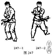 ͼ247-1ͼ247-2