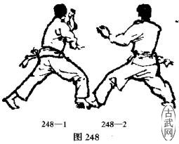 ͼ248-1ͼ248-2
