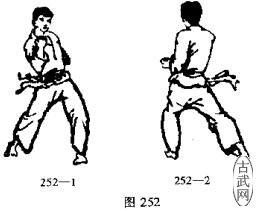 ͼ252-1ͼ252-2