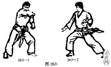 ͼ263-1ͼ263-2