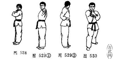 ͼ528ͼ529ͼ530