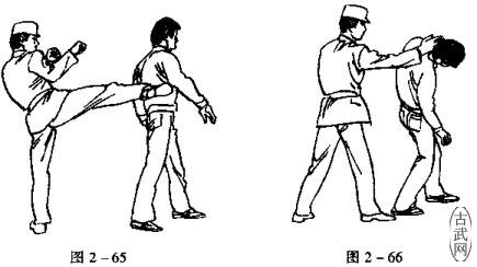 ͼ2һ65ͼ2һ66