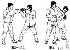 ʵս缼֮ɹÿ֦͹º׳Ⱥ붴