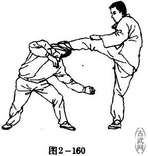 ͼ2-160
