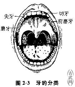 ͼ2-3