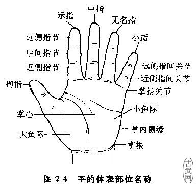 ͼ2-4