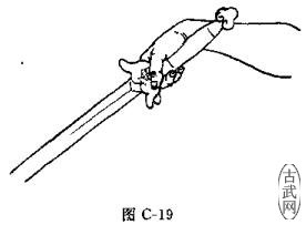 ͼC-19