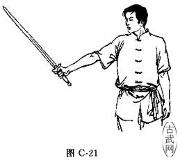 ͼC-21