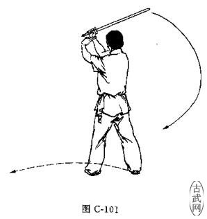 ͼC-101
