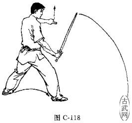 ͼC-118