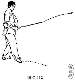 ͼC-113