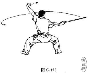 ͼC-175