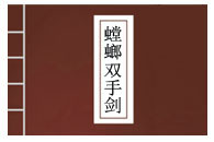 ˫ֽ֮뽣ͼȫ׽ѧ