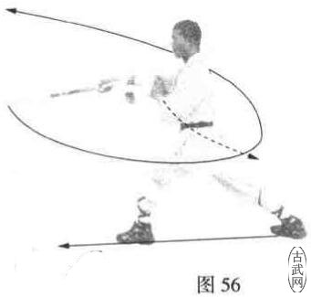 ͼ56