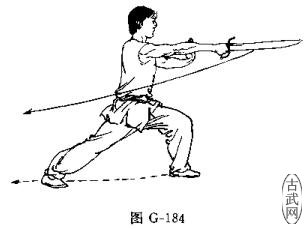 ͼG-184