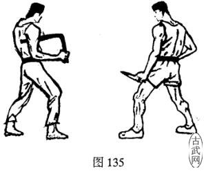 ͼ135