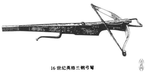16ŷ