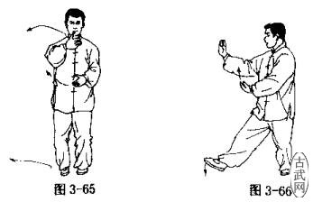 ͼ3-65ͼ3-66